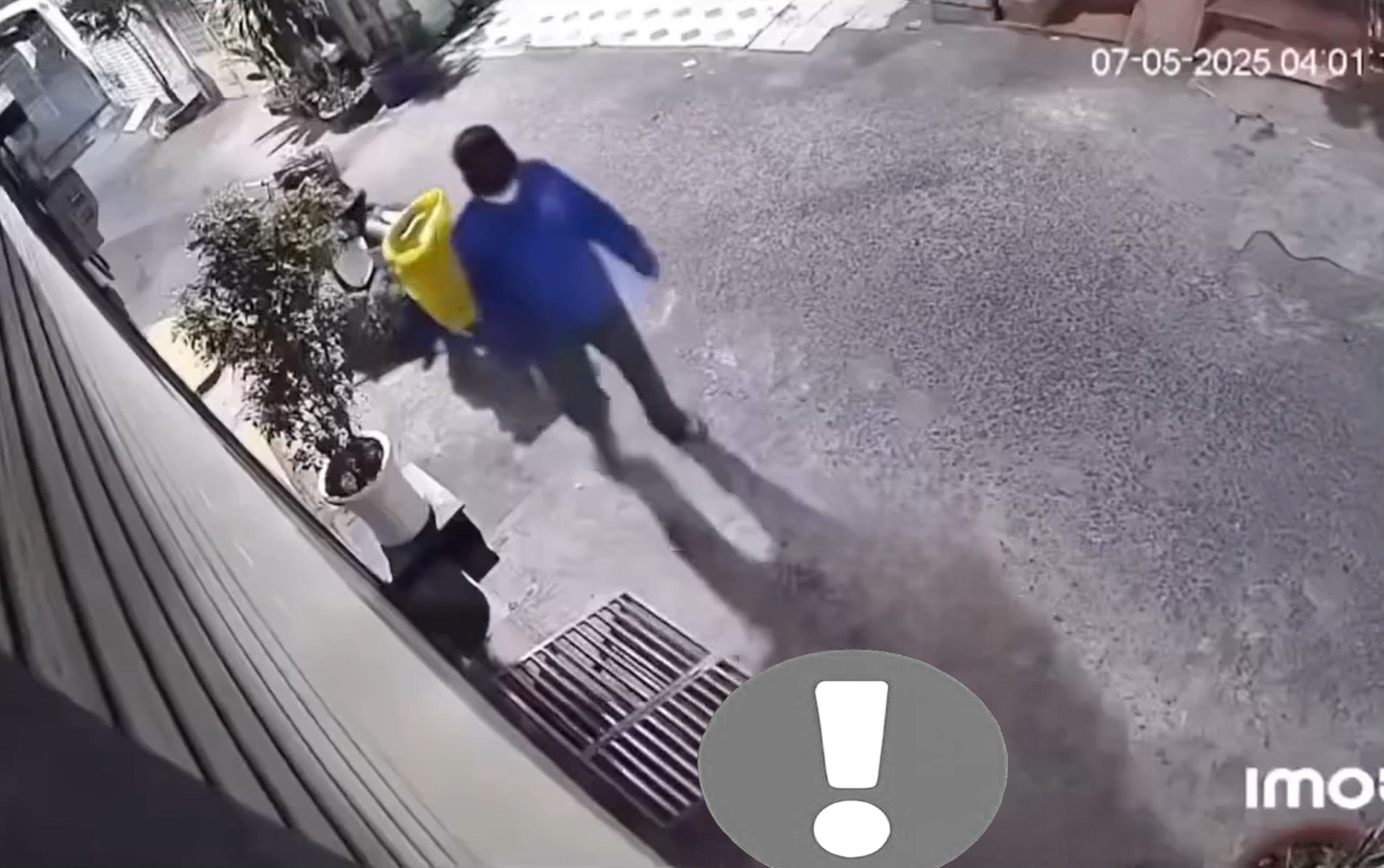 Ban đêm trộm mèo và cái kết