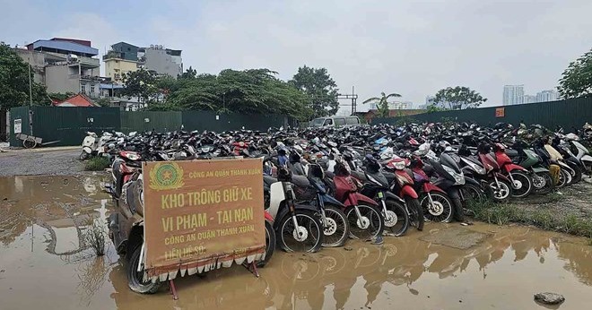 Hà Nội đấu giá lô tài sản xe máy vi phạm, giá khởi điểm 58,4 triệu đồng