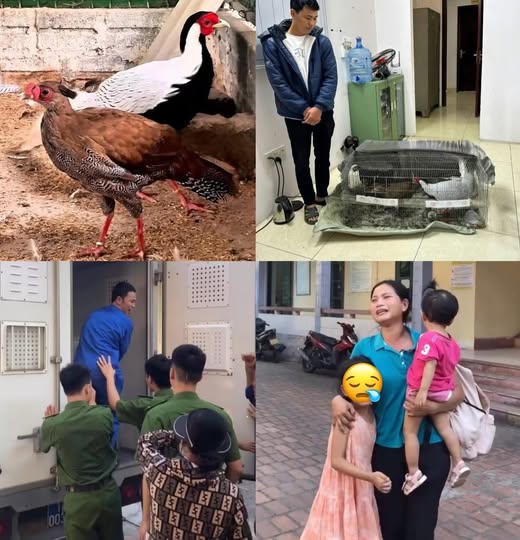 Người đàn ông lĩnh 6 năm tù vì bán gà lôi trắng: Dân làng ai biết chuyện cũng thương hoàn cảnh gia đình