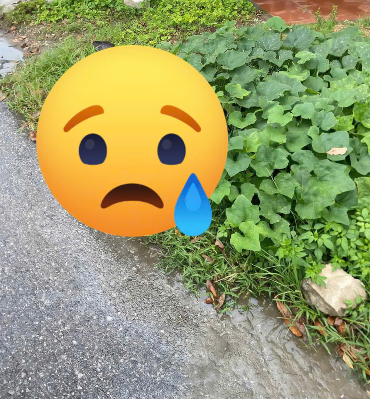 Ảnh 0che: Hiện trường TNGT gần Honda Long Tin, Hữu Ái, Lương Tài