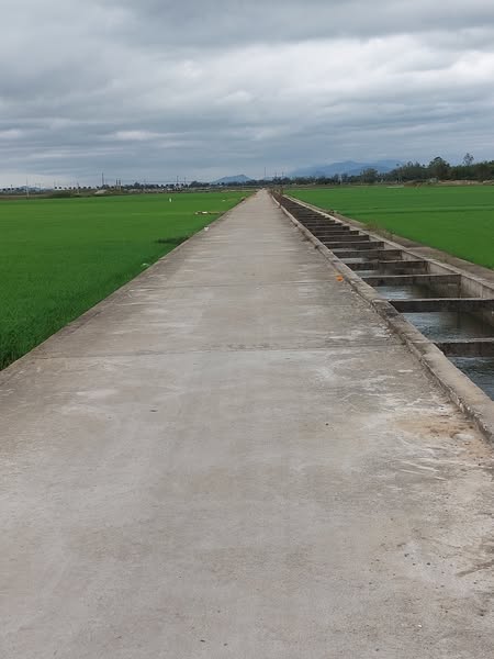 Bình Định trong tôi