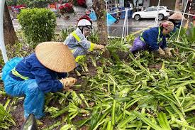 Sẽ xử lý hành vi giẫm nát cây, vứt rác bừa bãi trong các buổi tổng hợp luyện