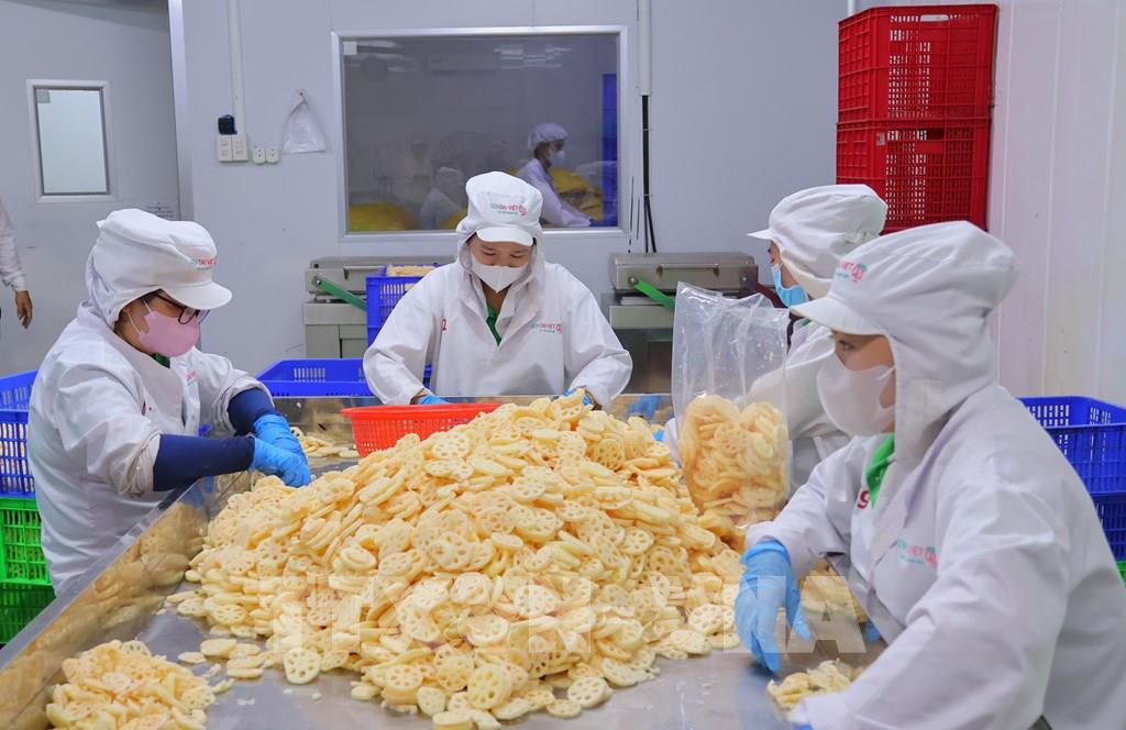 Đồng Tháp tăng tốc, kỳ vọng cán mốc 9,2 tỷ USD xuất khẩu