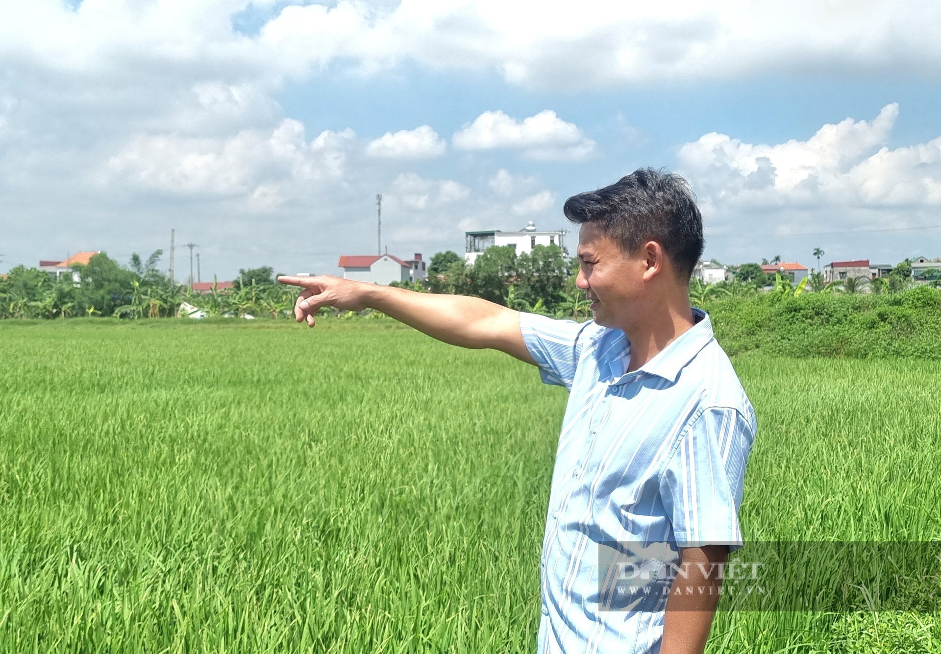 “Ôm” ruộng bỏ hoang, biến thành “cánh đồng trù phú”, Nông dân Việt Nam xuất sắc đến từ Ninh Bình có doanh thu 12 tỷ/năm
