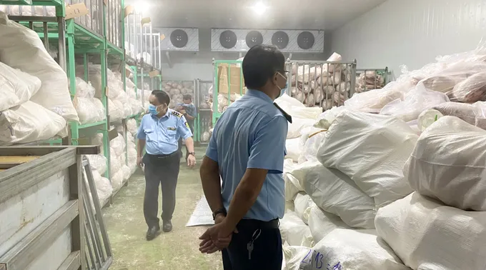 Gia Lai: Phạt 90 triệu đồng cơ sở gom hơn 100 tấn thịt heo không rõ nguồn gốc