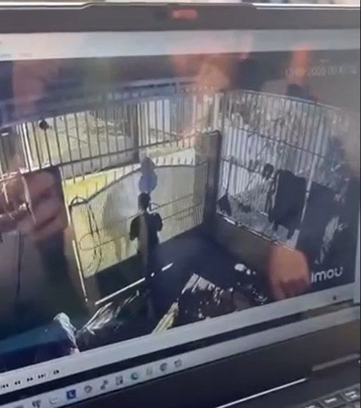 Cập nhật camera 🔪🔪🔪 4ng trong gia đình như phim luôn ở Đắk Lắk 🥶