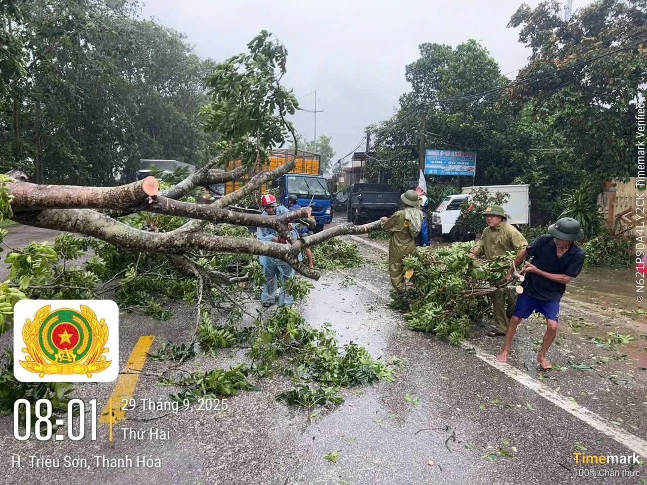 Thanh Hóa: Bí thư thôn tử vong do cây đổ khi đi trực bão số 10