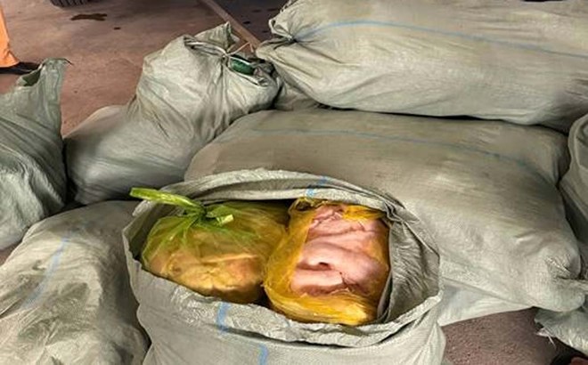 Tiêu hủy hơn 570kg bì lợn có hiện tượng chảy nước, bốc mùi ở Ninh Bình