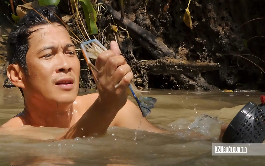 Theo chân thợ lặn miền Tây săn tôm, có ngày bỏ túi tiền triệu