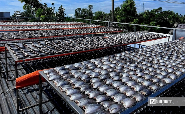 Hương vị đồng quê ở “thủ phủ” cá khô miền Tây