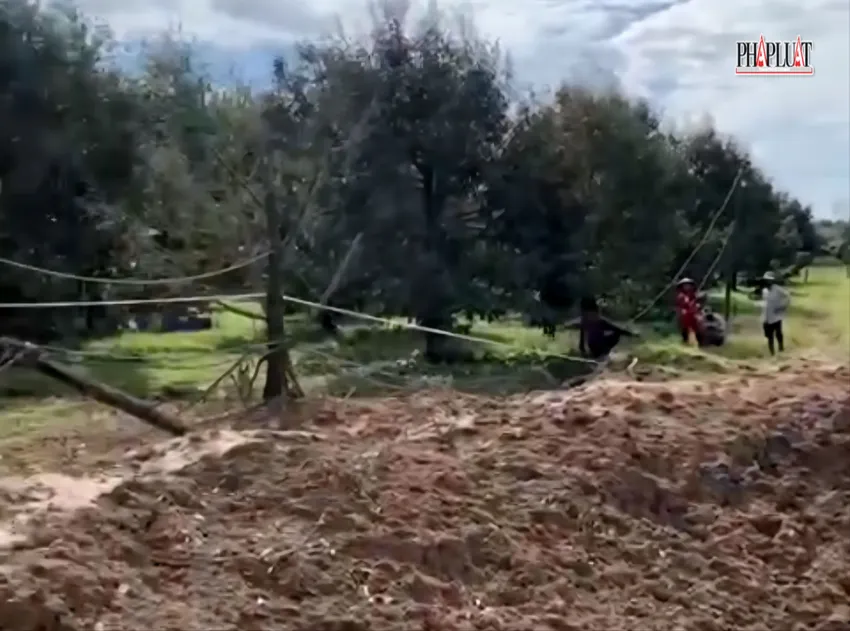 Tây Ninh: Bom sót lại sau chiến tranh phát nổ, 25 cây sầu riêng bị phá hủy