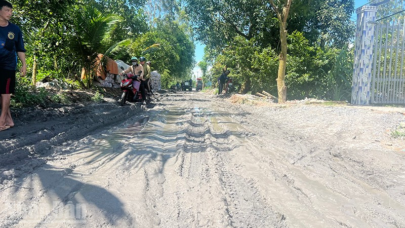 Đồng Tháp: Cần sớm đẩy nhanh tiến độ thi công đường bờ đông kênh Kỳ Son