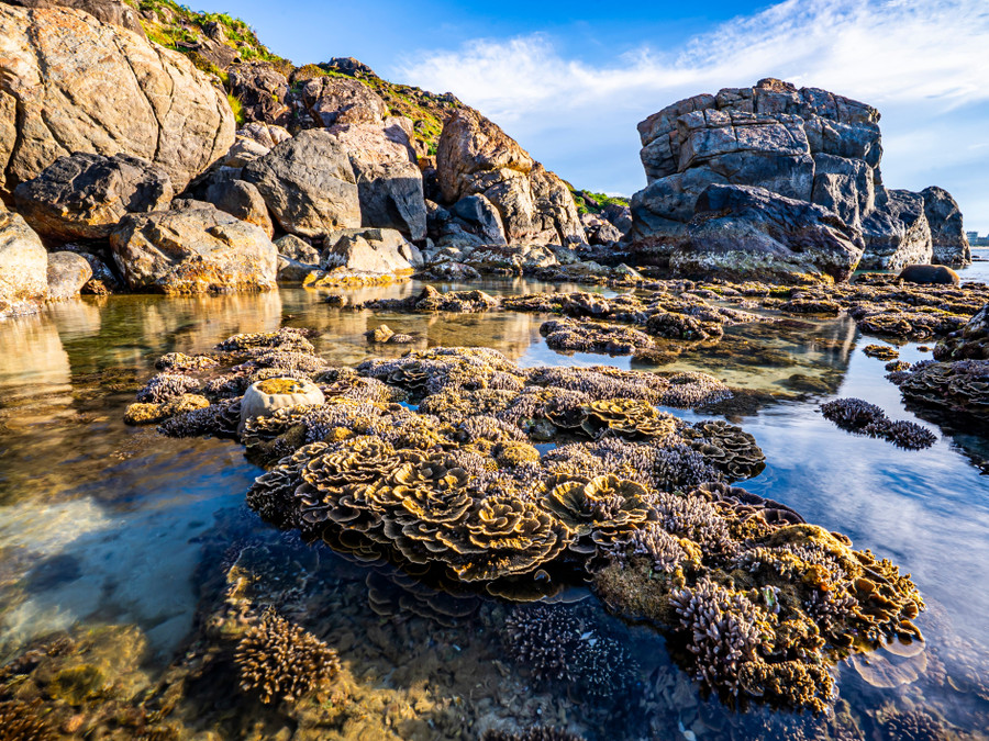 Ngắm “kỳ quan dưới nước” ở làng chài Nhơn Lý mùa nước cạn