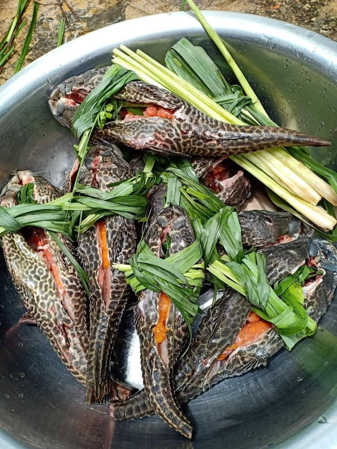 Loài cá hình dáng gây khiếp sợ nhưng cực thơm ngon, bổ dưỡng