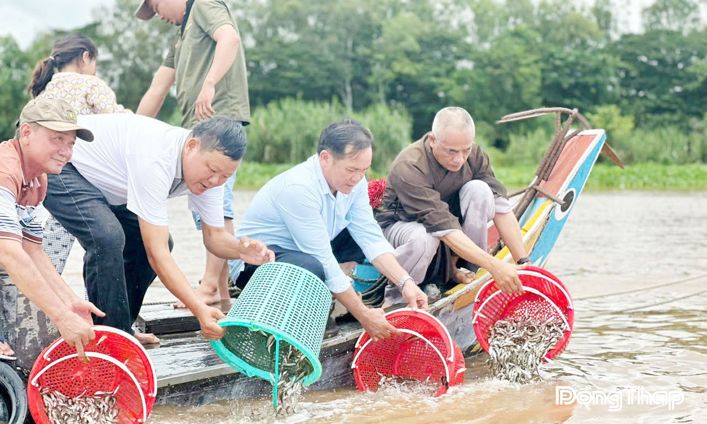 Thả khoảng 1,2 tấn cá linh về sông Tiền