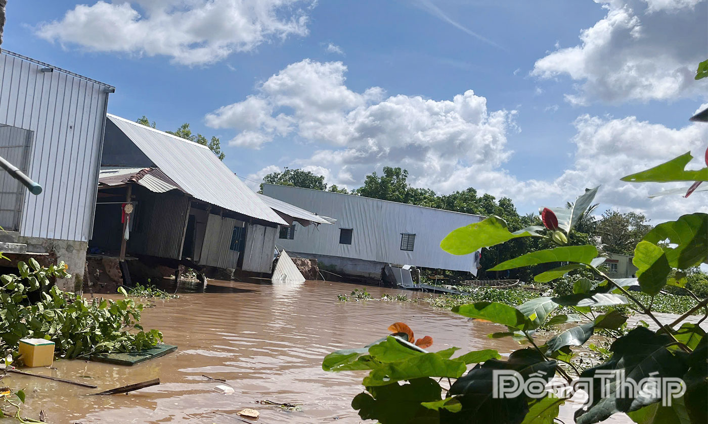 Sạt lở bờ sông Tiền làm hư hại 6 căn nhà