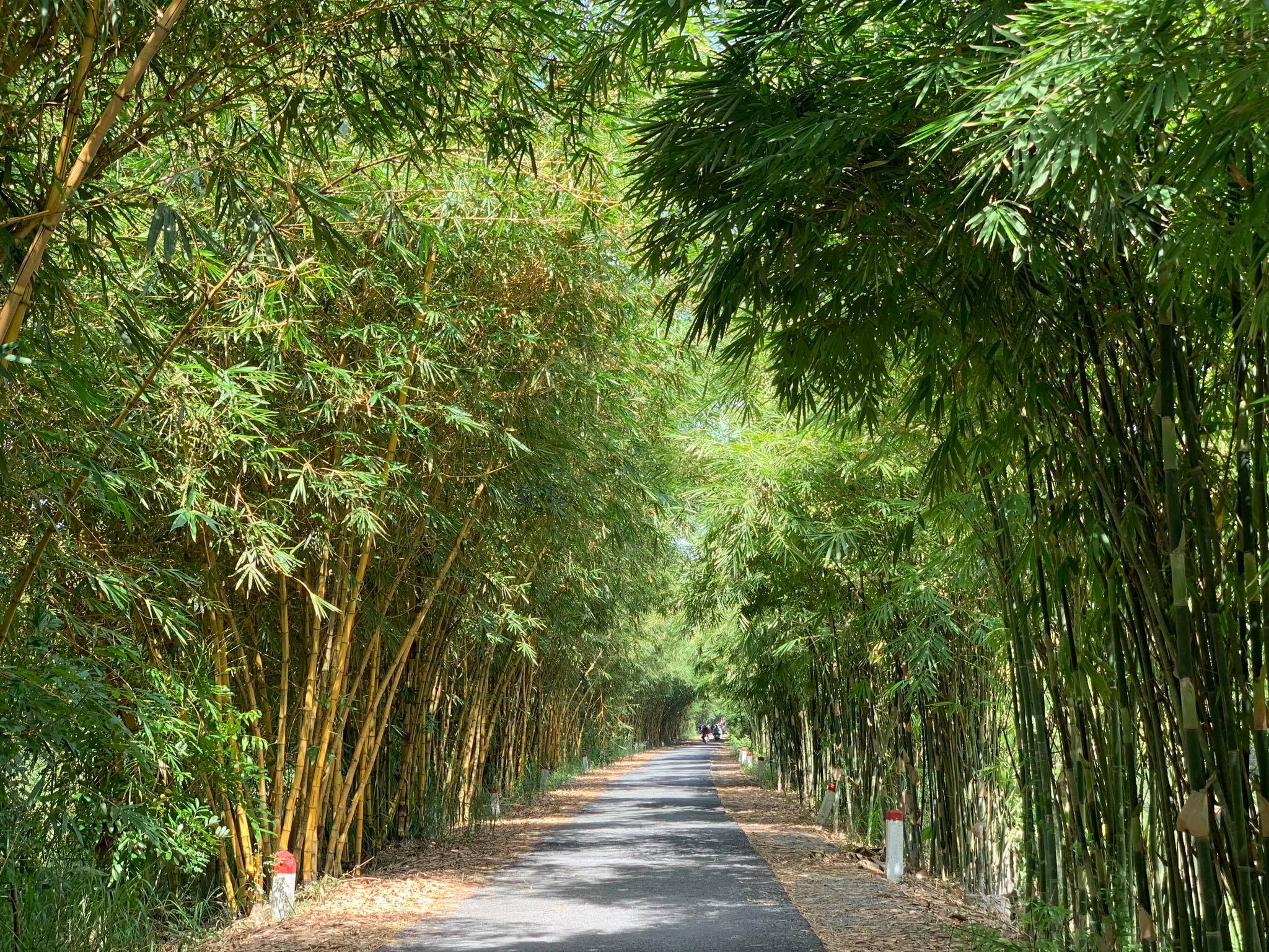 Khu du lịch sinh thái Gáo Giồng – Cao Lãnh – Đồng Tháp