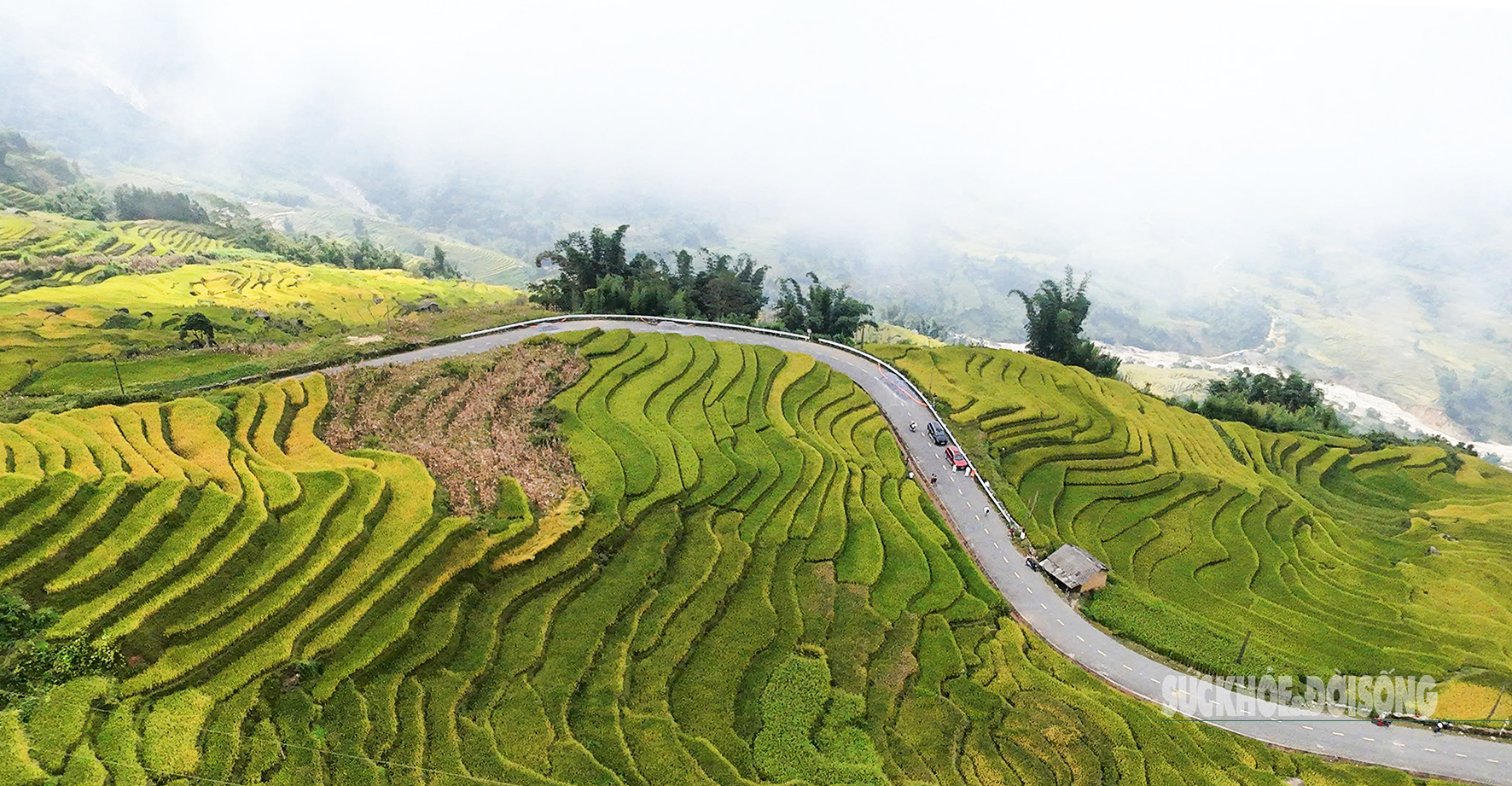 Mùa vàng Y Tý – Tuyệt tác thiên nhiên giữa đại ngàn Tây Bắc