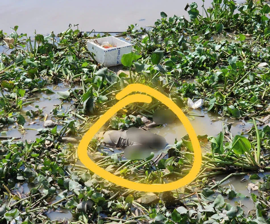 Phát hiện thi thể trôi nổi dưới sông Bảo Định chưa rõ danh tính