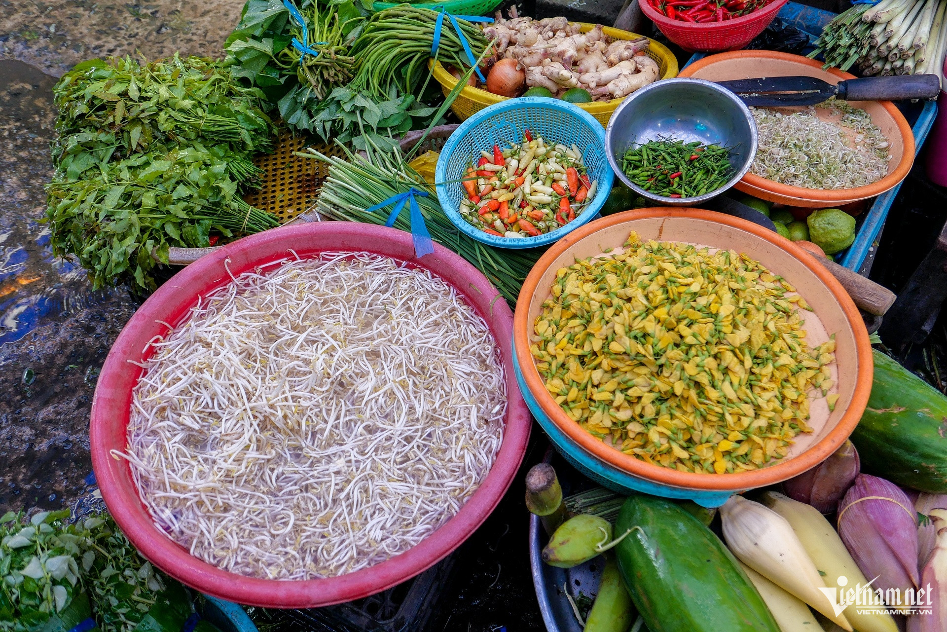 Đặc sản miền Tây mùa nước nổi, bà con soi đèn hái trong đêm, nấu lẩu thơm ngon