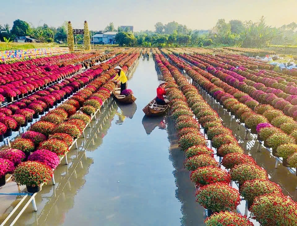 Nhiều hoạt động sẽ diễn ra tại Festival Hoa – Kiểng Sa Đéc lần thứ II năm 2025