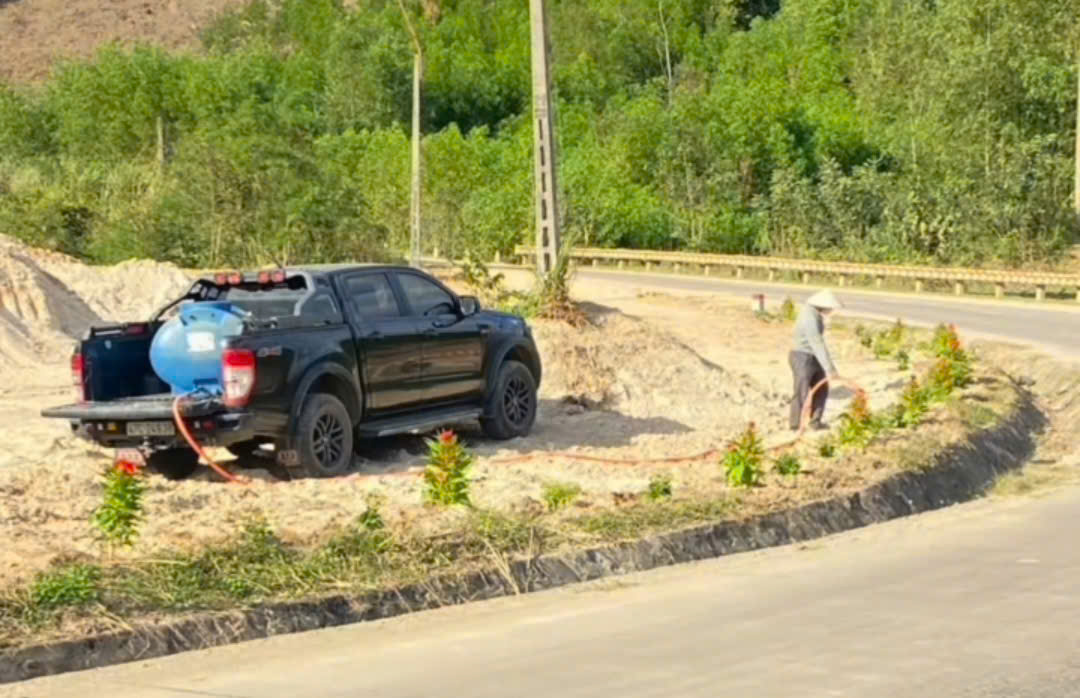 Xúc động chuyện chồng trồng 1 km phượng vĩ, 1.000 cây hoa hồng để tưởng nhớ vợ