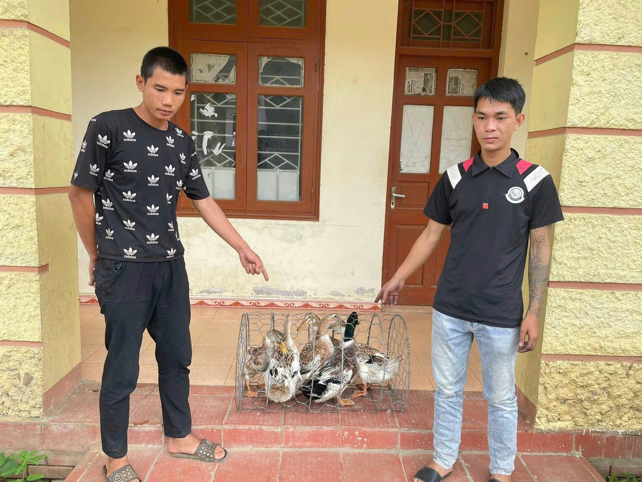 ❗️ĐAM MÊ 🩸 CANH VỊT NHƯNG HOÀN CẢNH CHƯA CHO PHÉP…😂