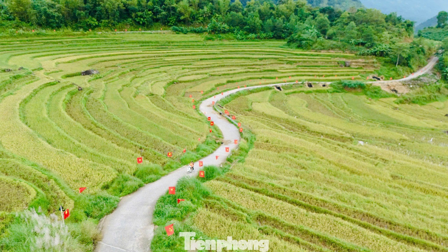 Cung đường chữ S giữa ‘rừng cờ’ Thanh Hóa mùa đẹp nhất năm