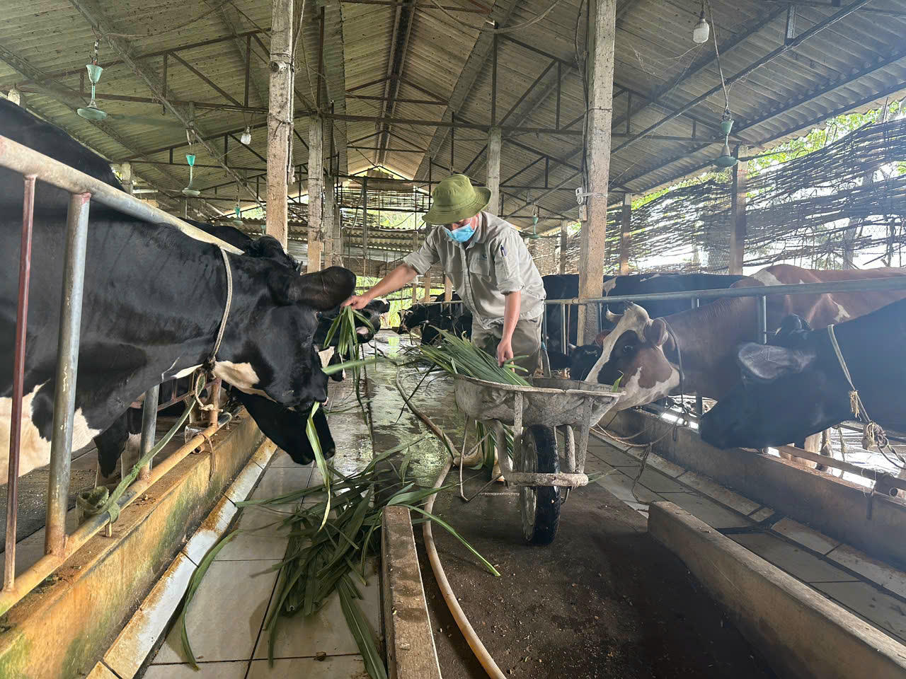 Phú Thọ phấn đấu giảm tỷ lệ hộ nghèo xuống còn 2,75%