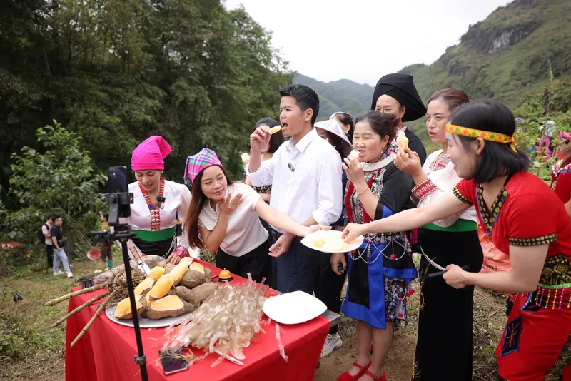 300 TẤN KHOAI SÂM ĐẤT ĐƯỢC TIÊU THỤ QUA LIVESTREAM SAU 2 THÁNG