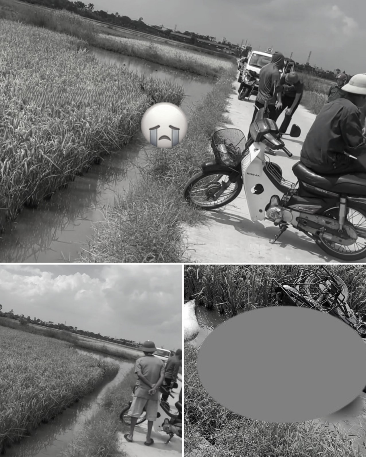 Thái Bình: Hiện trường người phụ nữ chở thóc đi phơi không may ngã xe không qua khỏi dưới ruộng