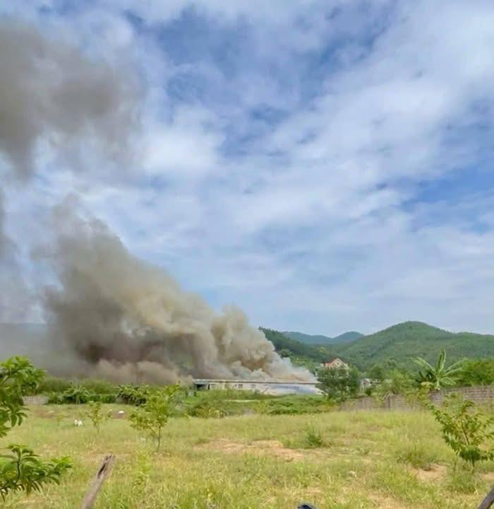 Cháy Trang trại lợn tại khu Trung Lương