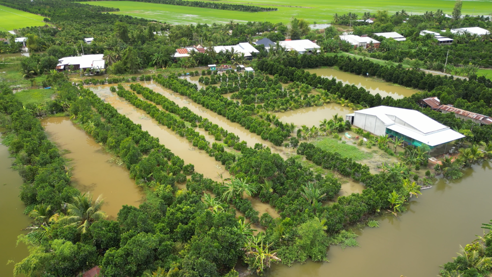 Nghĩa tình mùa lũ