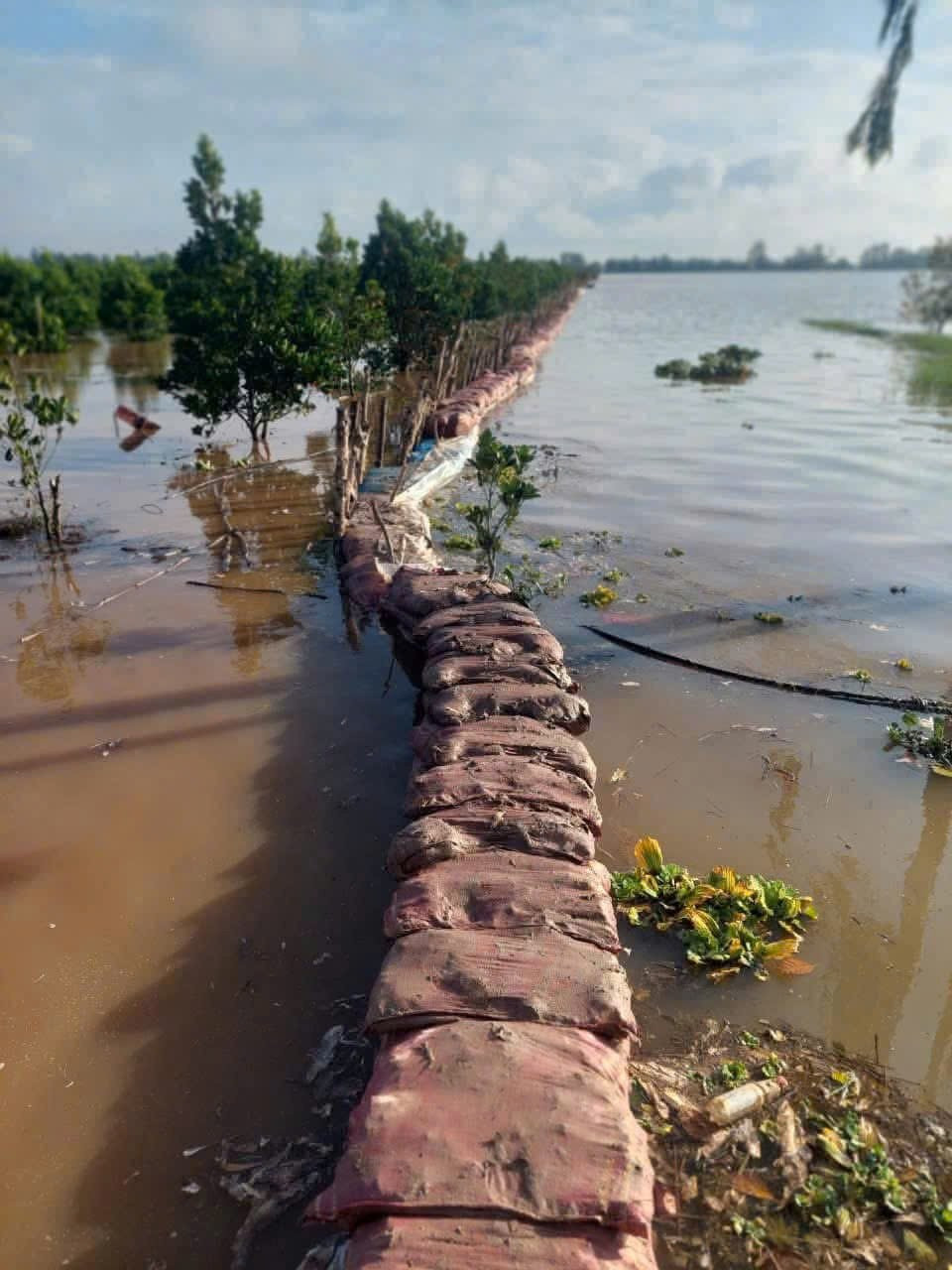 Cảnh báo các hiện tượng thủy văn nguy hiểm ở Tây Ninh, Đồng Tháp