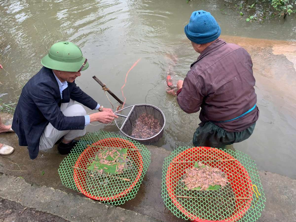 Lội nước ngày đầu đông, nông dân Hải Phòng thu hàng tấn lộc trời