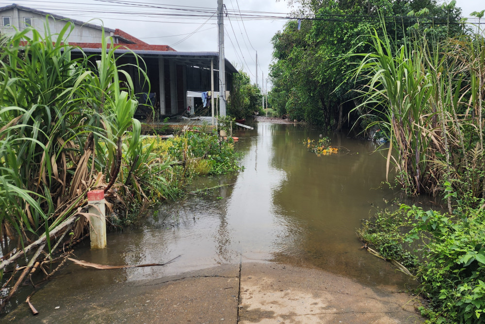 Xã Phước Chỉ: Một số trường học tạm ngưng hoạt động vì ngập lụt