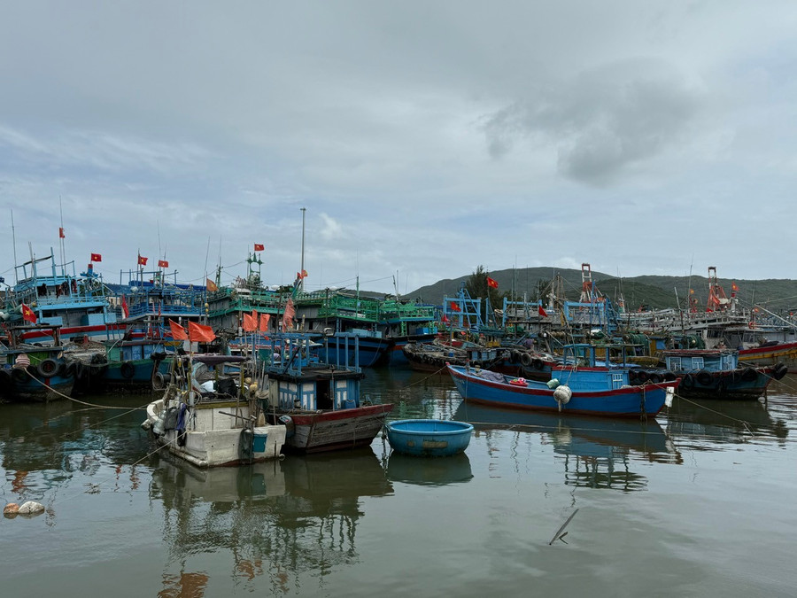 Gia Lai sẵn sàng cho tình huống mưa vượt dự báo, lũ dâng nhanh