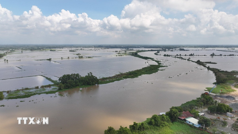 Nước sông Vàm Cỏ Đông dâng cao, học sinh nhiều điểm trường biên giới nghỉ học