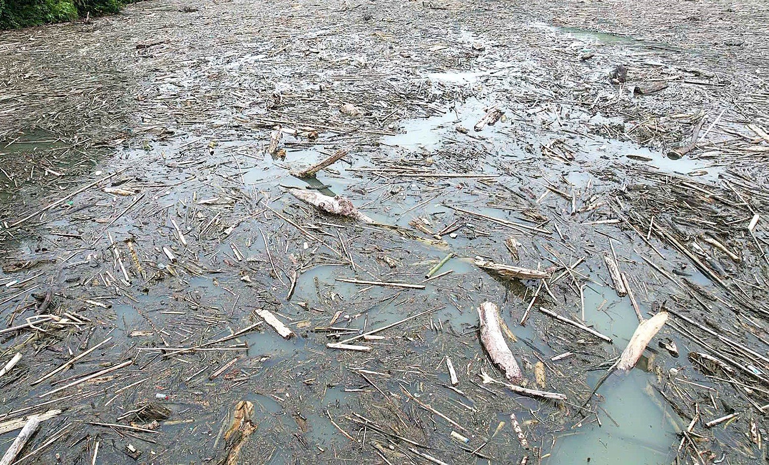 Thủy điện Hủa Na ở Nghệ An ngập rác, chính quyền đang xử lý thế nào?