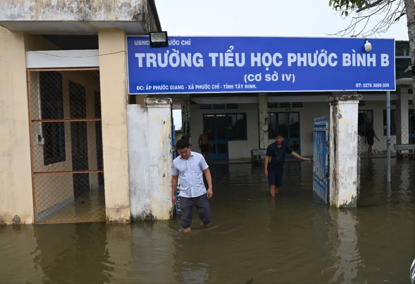 Sông Vàm Cỏ Đông vượt báo động, nhiều trường học ở Tây Ninh bị ảnh hưởng