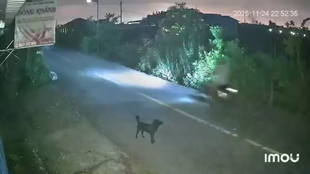 Clip ghi rõ hình ảnh đối tượng đi ô tô bắt trộm chó ở Tây Ninh