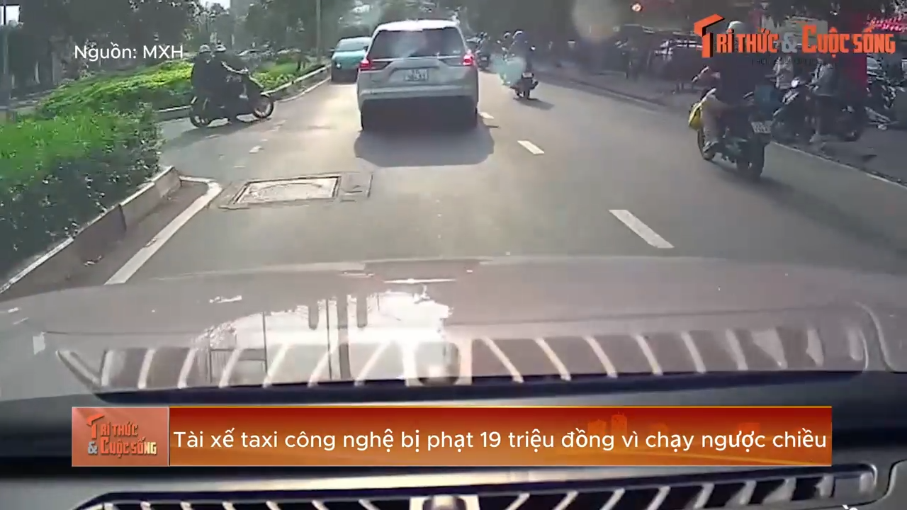 TP HCM: Phạt tài xế taxi công nghệ 19 triệu đồng vì chạy ngược chiều