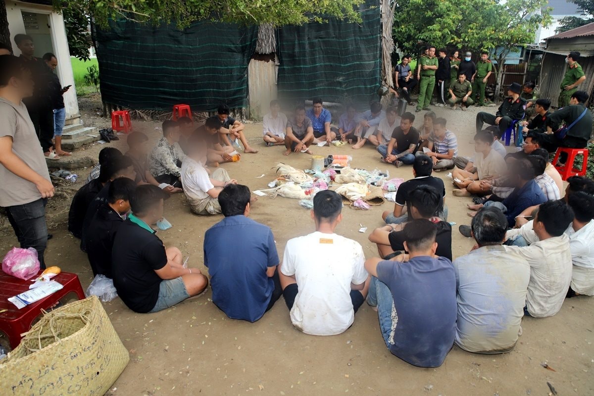 “Đột kích” khu đất trống sau nhà hoang, bắt quả tang 35 đối tượng đá gà