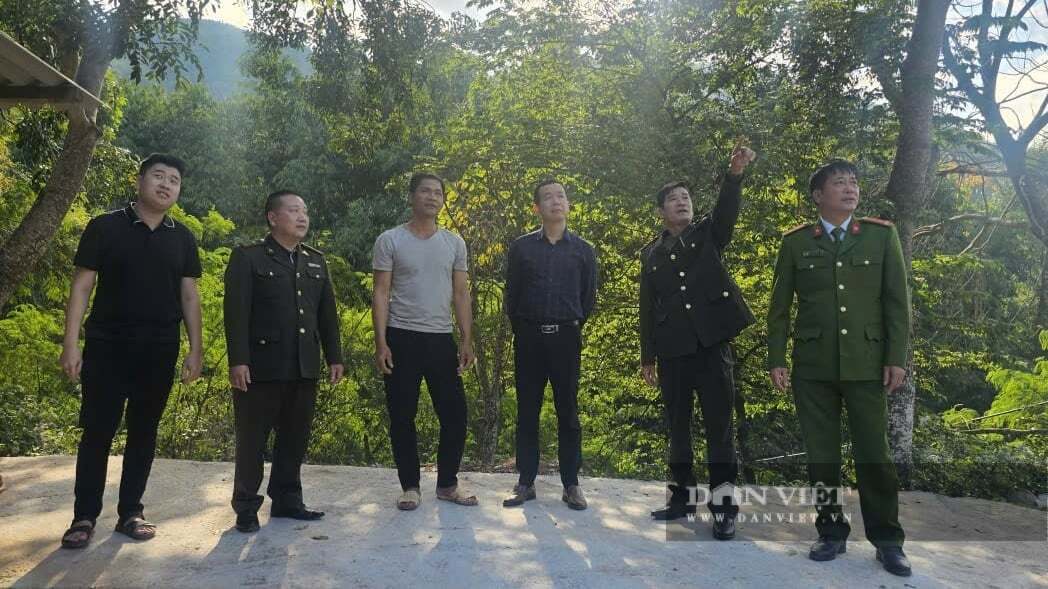 Vụ con khỉ hoang dã tấn công người ở Sơn La: Nghiêm cấm người dân săn bắt, ưu tiên “đuổi khỉ, bảo vệ người”