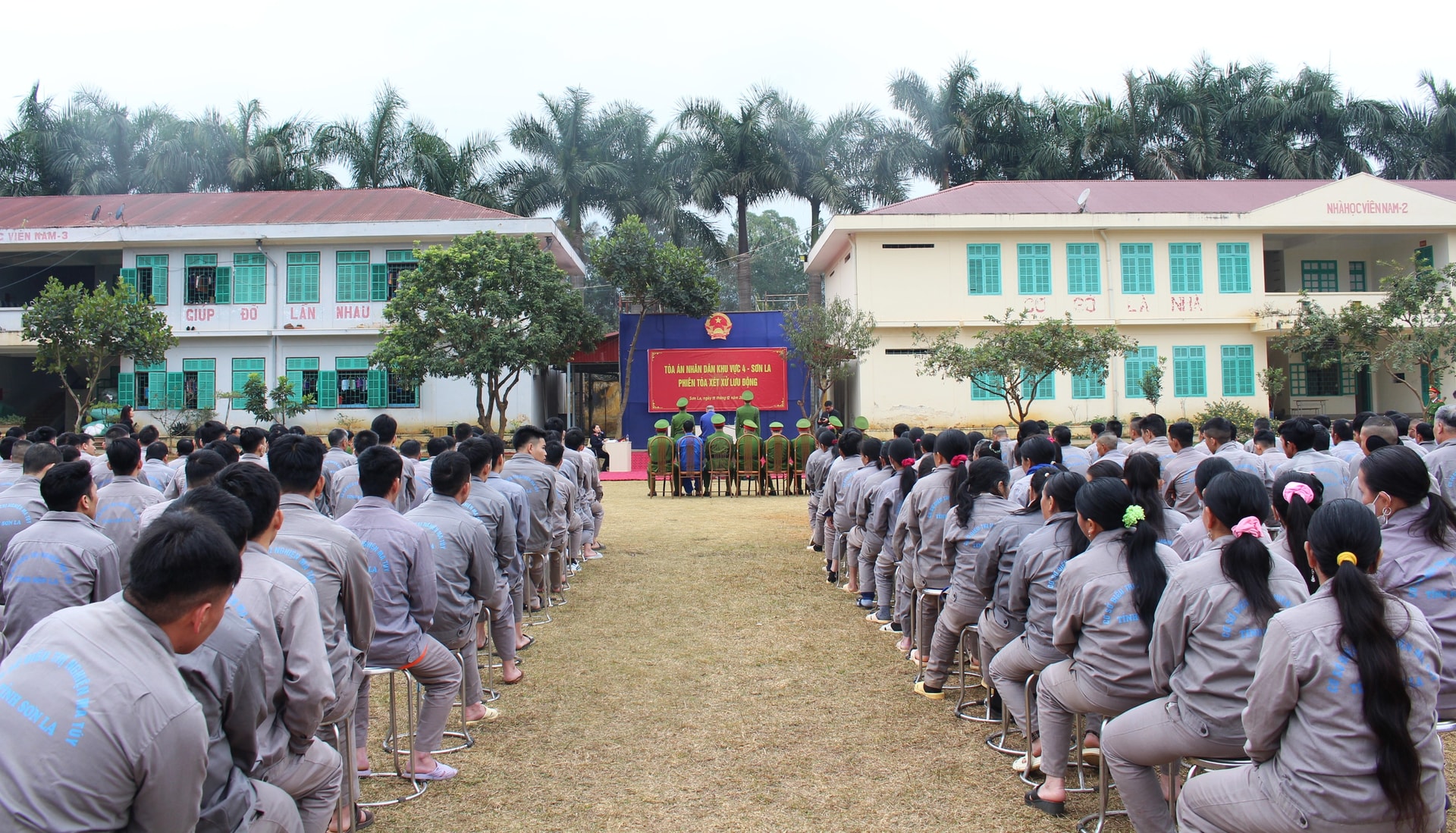 Trên đường đi điều trị… vẫn tìm mua ma túy để sử dụng