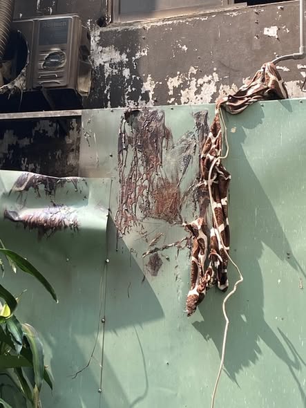 Vụ cháy 4 người chết ở TP.HCM: Một câu nói khiến cô gái quyết định nhảy từ tầng 3 xuống đất!