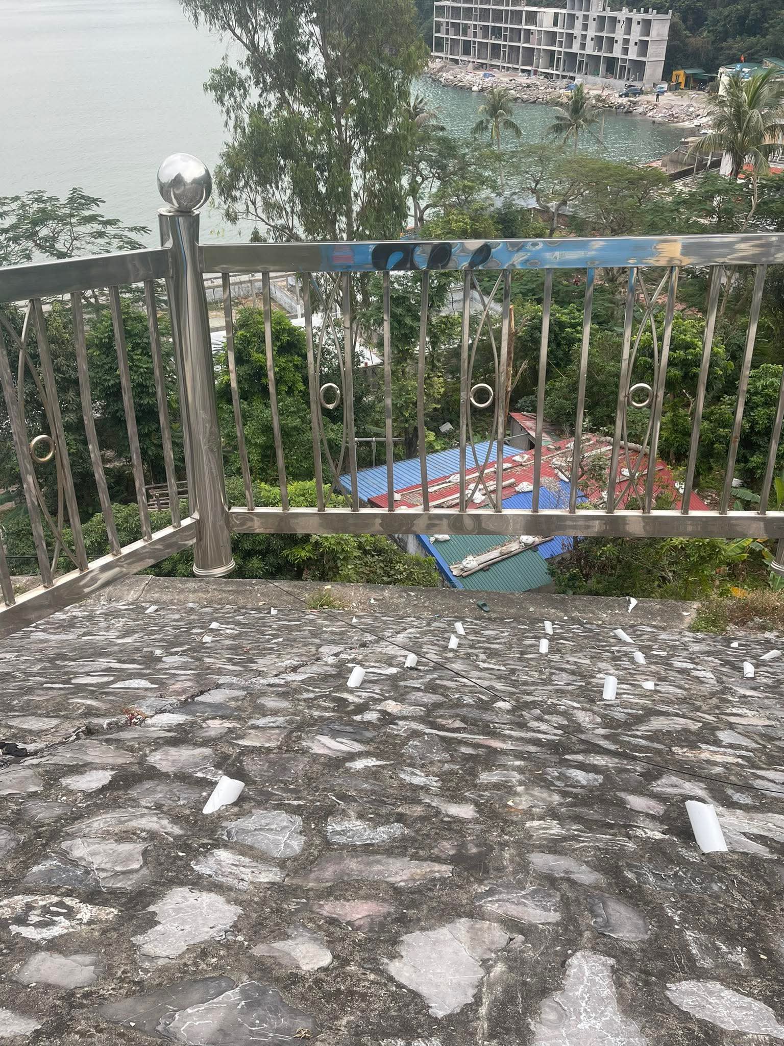 TNGT Cát Bà đêm qua