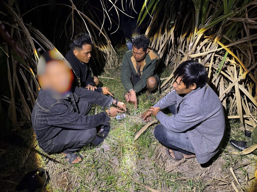 Gia Lai: Phát hiện nhóm đối tượng tụ tập “đập đá” trong rẫy mía