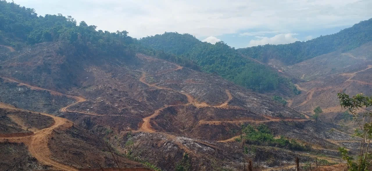 Vụ gần 98ha rừng ở Gia Lai bị xâm hại: Đề nghị kỷ luật hai kiểm lâm