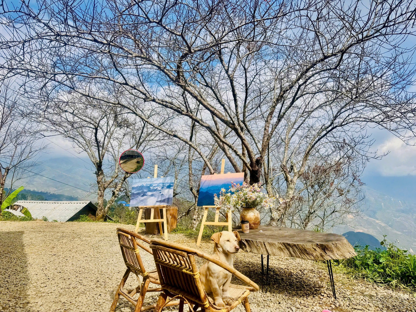 ‘Mái nhà chênh vênh’ ở Tà Xùa thành điểm check-in độc nhất vô nhị